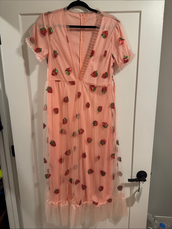 Dresses & Skirts - Peach Strawberry Embroidered Tulle Midi Dress